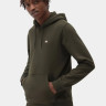 Худі Dickies OAKPORT HOODIE DK0A4XCDOGX1