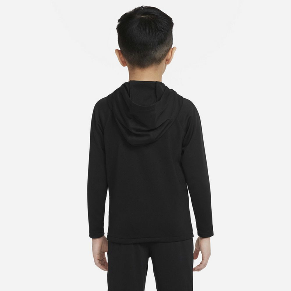 Толстовка Nike LK NK DF ACDPR HOODIE PO K DH9485-011
