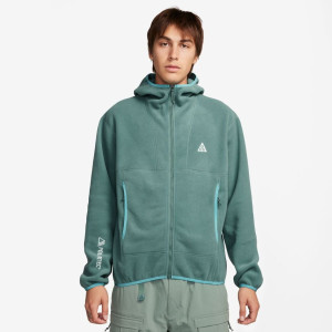 Худі Nike ACG Woolf Tree FB8082-361