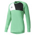 Кофта Adidas Assita 17 GK AZ5400-A AZ5400-A