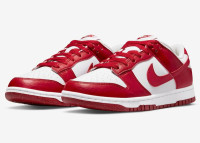 Кросівки Nike Dunk Low Next Nature DN1431-101