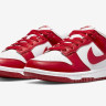 Кросівки Nike Dunk Low Next Nature DN1431-101