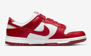 Кросівки Nike Dunk Low Next Nature DN1431-101
