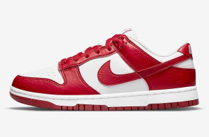 Кросівки Nike Dunk Low Next Nature DN1431-101