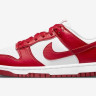 Кросівки Nike Dunk Low Next Nature DN1431-101