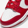 Кросівки Nike Dunk Low Next Nature DN1431-101