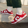 Кросівки Nike Dunk Low Next Nature DN1431-101