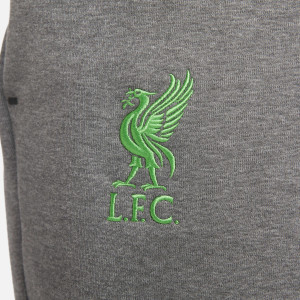 Штани чоловічі Nike Liverpool F.C. Tech Fleece Grey DV4834-071
