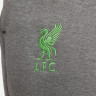 Штани чоловічі Nike Liverpool F.C. Tech Fleece Grey DV4834-071
