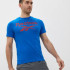 Футболка Reebok Ri Big Logo Tee FP9149