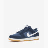 Кросівки Nike Dunk Low SE Blue HQ1931-400