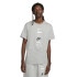 Футболка чоловіча Nike Club Logo Tee Grey DZ2875-063