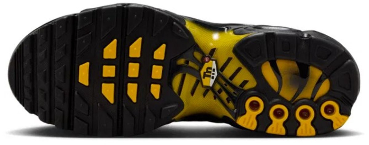 Кросівки Nike AIR MAX PLUS GS IB2870-001