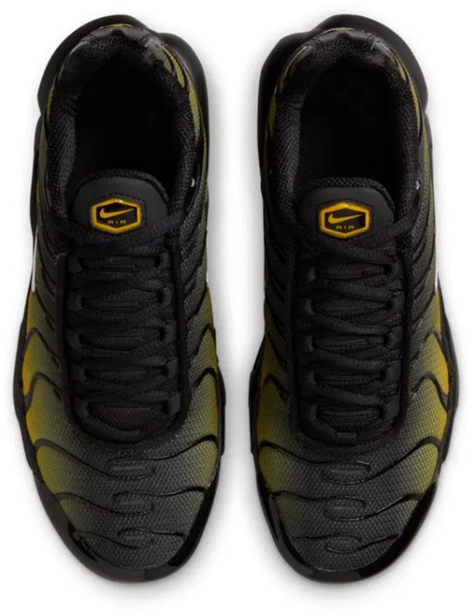 Кросівки Nike AIR MAX PLUS GS IB2870-001