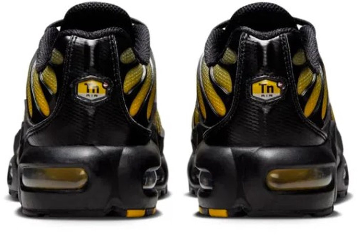 Кросівки Nike AIR MAX PLUS GS IB2870-001