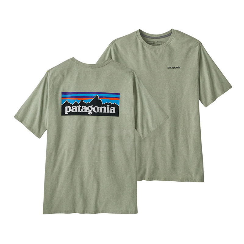 Футболка Patagonia P-6 Logo Responsibili-Tee 38504SLVG