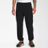 Штани Nylon Easy PantTHE NORTH FACE NFOA88TV1NO