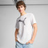Футболка Puma HOUSE OF GRAPHICS 688891-02 Футболка Puma HOUSE OF GRAPHICS 688891-02