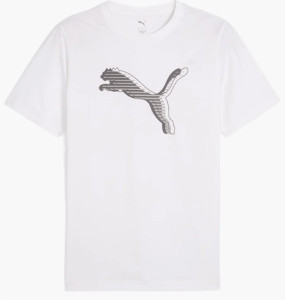 Футболка Puma HOUSE OF GRAPHICS 688891-02