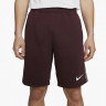 Шорти Nike Repeat Fleece Short DX2031-652