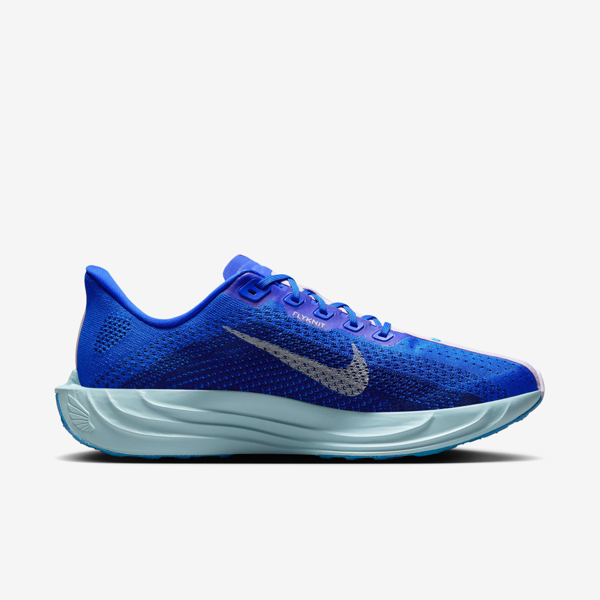Кросівки Nike Pegasus Plus PRM HQ1719-400