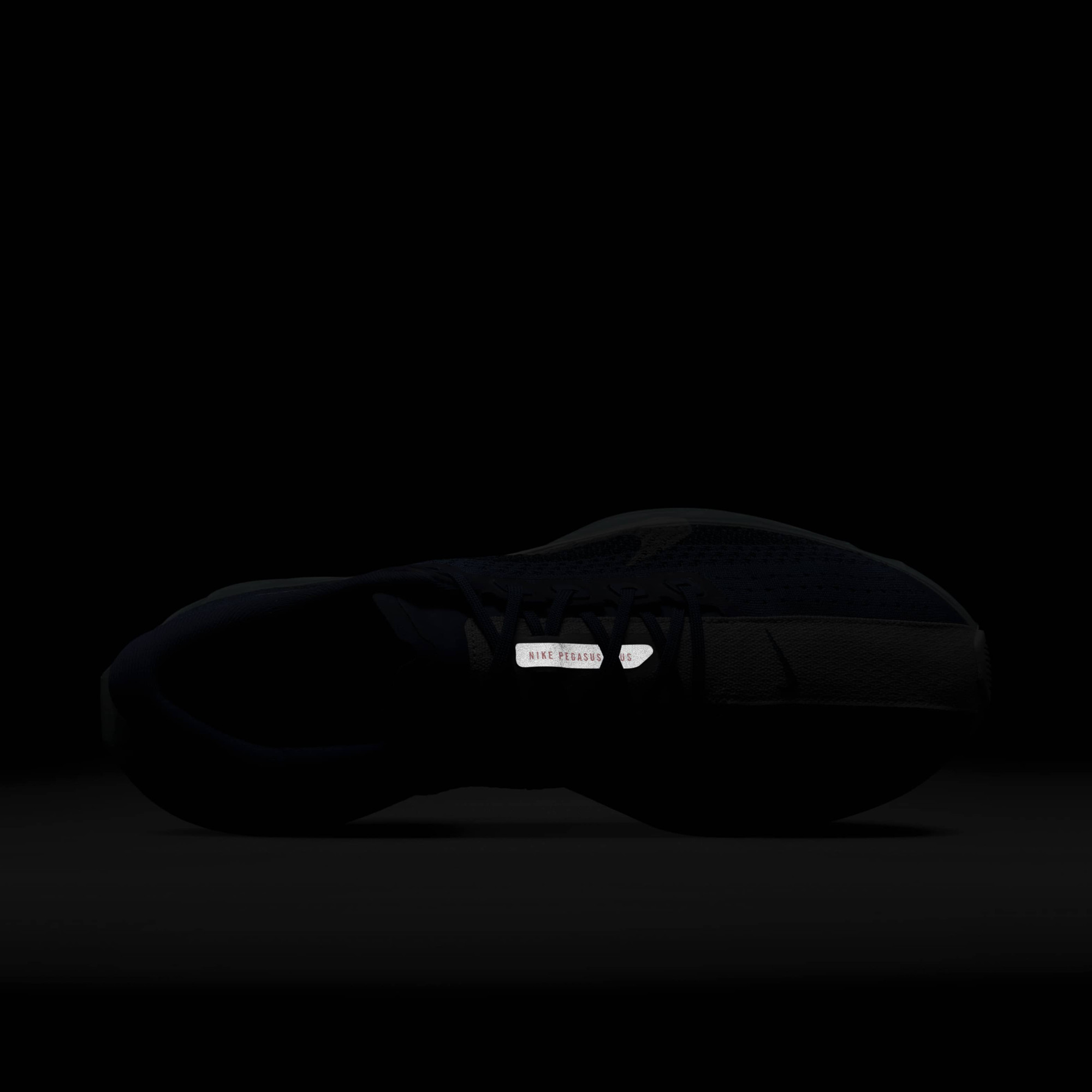 Кросівки Nike Pegasus Plus PRM HQ1719-400