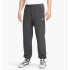 Штани Nike M ACG WOLF TREE PANT CV0658-060