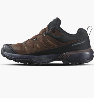 Кросівки Salomon X Ultra 360 LTR GTX 475712-28