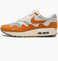 Кросівки Nike Air Max 1 Patta Waves Monarch DH1348-001
