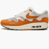 Кросівки Nike Air Max 1 Patta Waves Monarch DH1348-001