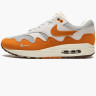 Кросівки Nike Air Max 1 Patta Waves Monarch DH1348-001