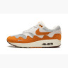 Кросівки Nike Air Max 1 Patta Waves Monarch DH1348-001