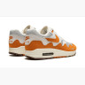 Кросівки Nike Air Max 1 Patta Waves Monarch DH1348-001