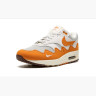Кросівки Nike Air Max 1 Patta Waves Monarch DH1348-001