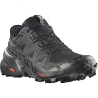 Кросівки SPEEDCROSS 6 GTX L41738600 SALOMON 8,5 (42,5) Чорний L41738600