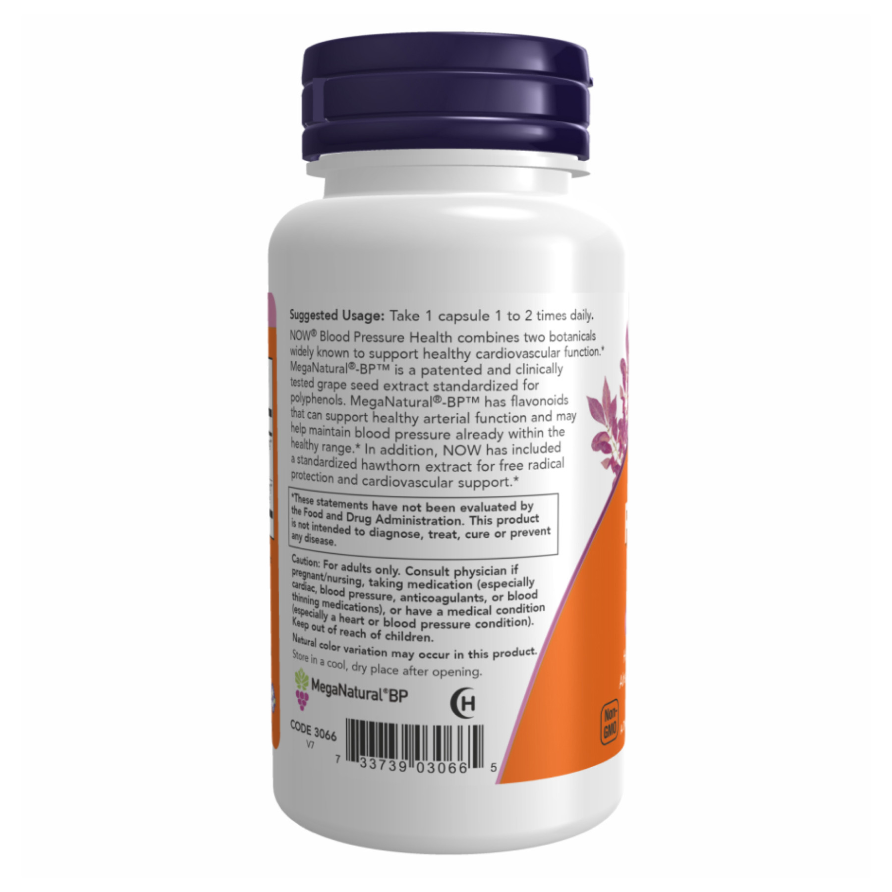 Капсули Blood Pressure Helth - 90 vcaps 2022-10-1323