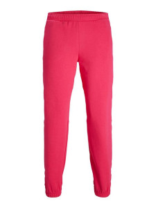 Штани JXALBERTE REL EVERY PANTS NOOS 12200298-Bright Rose JJXX L Розовий 12200298-BRIGHT ROSE