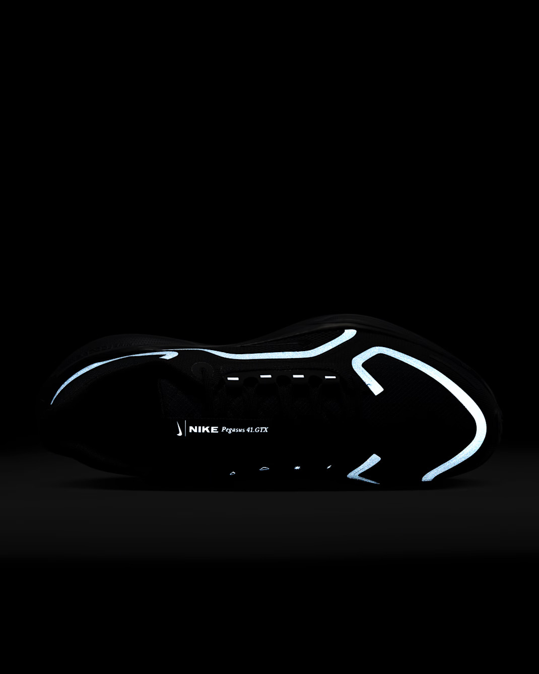 Кросівки Nike AIR ZM PEGASUS 41 GTX FQ1356-001