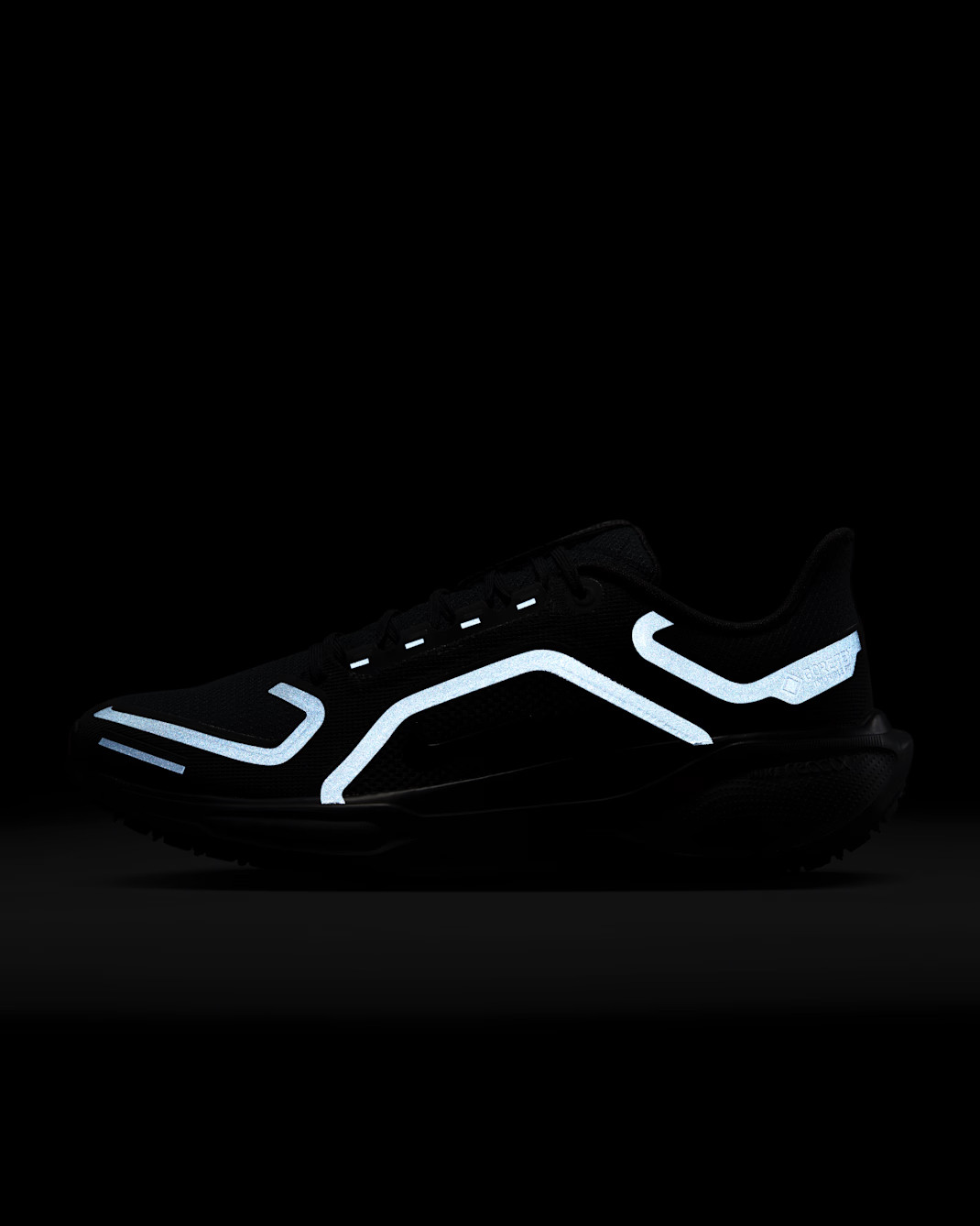 Кросівки Nike AIR ZM PEGASUS 41 GTX FQ1356-001