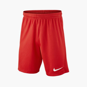 Шорти тренувальні Nike Y NK DF PARK III SHORT NB K BV6865-657