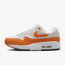 Кросівки Nike W AIR MAX 1 DZ2628-002