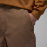 Штани чоловічі Air Jordan Chicago Brown FV7255-223