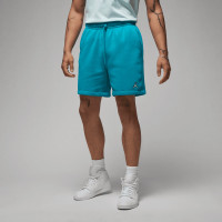 Шорти чоловічі Air Jordan Brooklyn Fleece Shorts Light Blue DQ7470-483