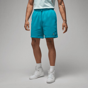 Шорти чоловічі Air Jordan Brooklyn Fleece Shorts Light Blue DQ7470-483