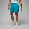 Шорти чоловічі Air Jordan Brooklyn Fleece Shorts Light Blue DQ7470-483