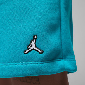 Шорти чоловічі Air Jordan Brooklyn Fleece Shorts Light Blue DQ7470-483