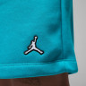 Шорти чоловічі Air Jordan Brooklyn Fleece Shorts Light Blue DQ7470-483