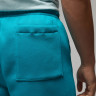 Шорти чоловічі Air Jordan Brooklyn Fleece Shorts Light Blue DQ7470-483