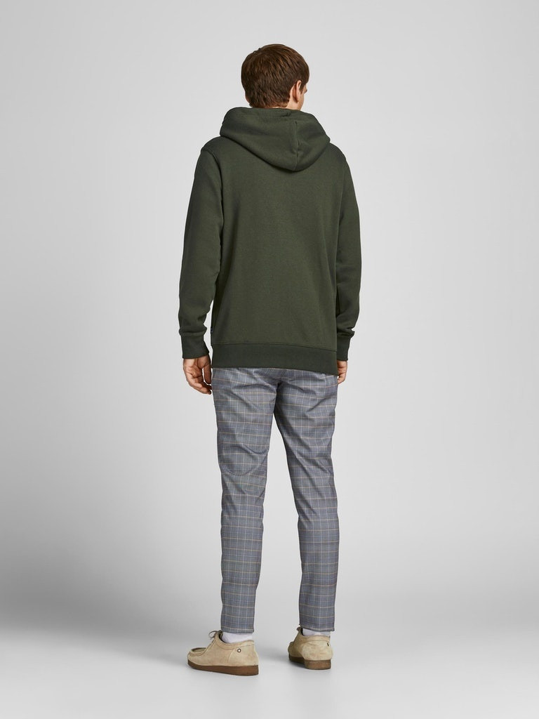 Толстовка JJESOFT BASIC SWEAT ZIP HOOD NOOS 12191895-Forest Night-Fit:REG FIT Jack&Jones XXL Зелений 12191895-Forest Night-Fit