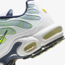 Кросівки Nike AIR MAX PLUS HV6227-001